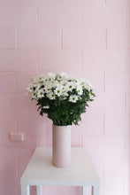 Load image into Gallery viewer, CHRYSANTHEMUMS
