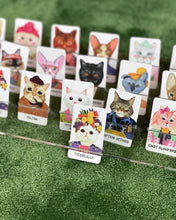 Load image into Gallery viewer, GUESS THE FELINE