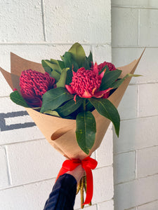 Waratah